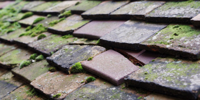 Cemaes Bay roof repair costs